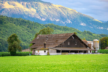 Scenic view of a dairy farm in the Swiss Alps