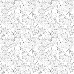 vector seamless pattern of maple leaves