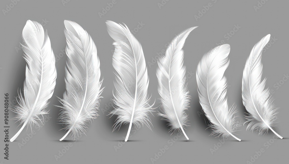 Poster white feathers set isolated on a grey background. generate ai image