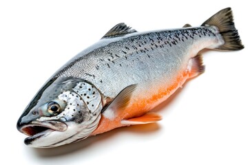 Obraz premium raw salmon, fish isolated on white background, full depth of field , ai