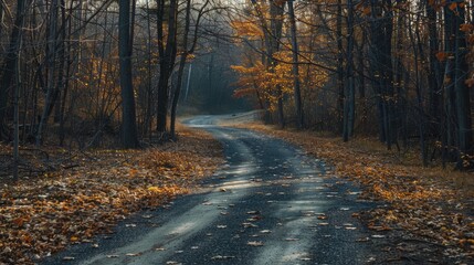 Obraz premium Asphalt cuts through the beautiful forest Generative AI