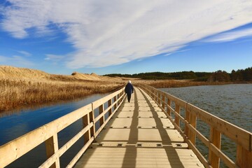 wooden bridge over lake