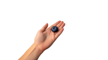 blueberry in hand on isolated background
