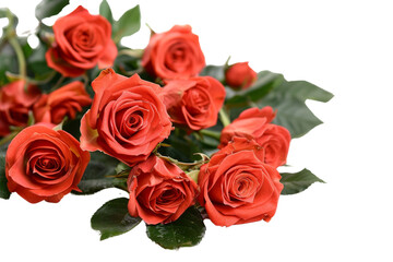 A vibrant bouquet of red roses with green leaves, perfect for romantic or celebratory occasions.