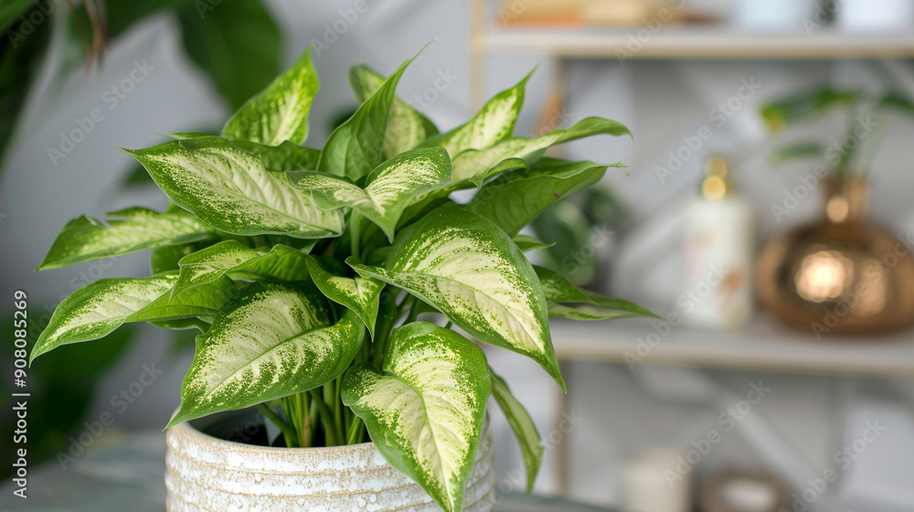 Wall mural Close-up of a stylish bathroom plant in a decorative pot with detailed leaves