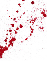 Blood