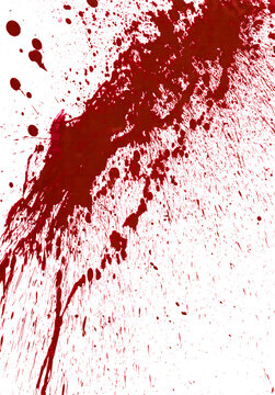 Blood