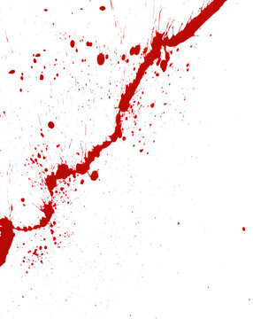 Blood