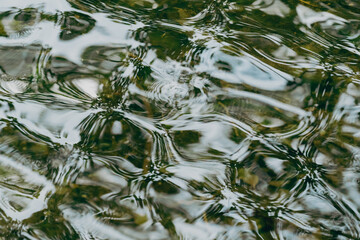 Water movement. Texture of a shallow stream in a forest showing gentle ripples and refractions.