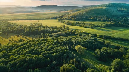Drone captures scenic green forest in rural setting