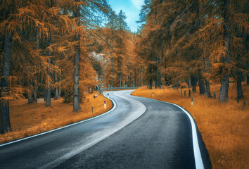 Road in orange forest in autumn. Dolomites, Italy. Beautiful mountain road, trees with lush...