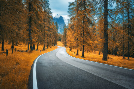 Road in orange forest in autumn. Dolomites, Italy. Beautiful mountain road, trees with lush foliage, grass, high rocks, sky with clouds in fall. Landscape with empty curvy road in the woods. Transport