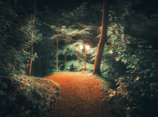 Forest path at night in the fog, illuminated by a street lamp in summer. Mystical landscape with...