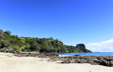 Fototapeta premium panoramic landscape view to Palm Beach on Waiheke Island, Auckland, North Island, New Zealand