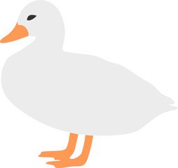 Duck Illustration Vector Graphic