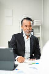 Fototapeta premium Senior businessman reviewing charts on a meeting with a colleague in a luminous office