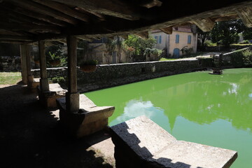 lavoir papillon de Vacaire © Jacky Jeannet