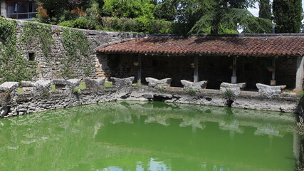 lavoir papillon de Vacaire © Jacky Jeannet