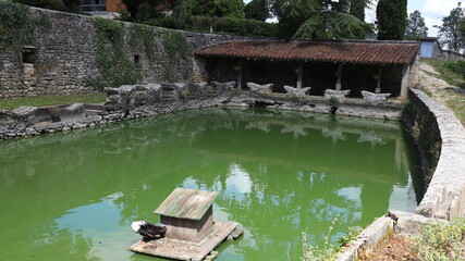 lavoir papillon de Vacaire © Jacky Jeannet