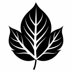 leaf, black and white, silhouette, vector, white background