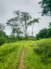 Obraz premium Cascada alta en Panamá 