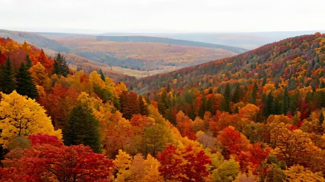 Autumn's Vibrant Palette in the Heart of the Cascades. Generative AI