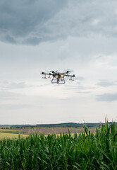 Agrodrone sprayer sprays sunflower fields, precision farming, the latest agriculturethe. Drone -...