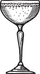 Champagne glass engraving. Alcohol menu drink illustration
