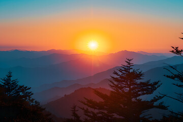 Fototapeta premium Serene Sunrise over Mountain Landscape with Pine Trees Silhouetted Against a Radiant Backdrop