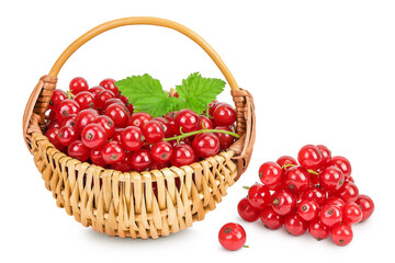 Red currant berries in a wicker basket with leaf isolated on white background