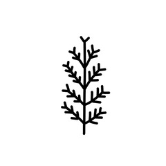 hand drawn line spruce
