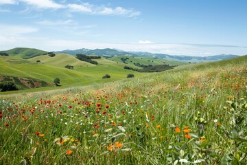 Obraz premium Lush Green Rolling Hills With Wildflowers