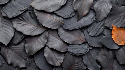   A fallen leaf rests atop a mound of dark and muted leaves, adjacent to vibrant red and orange foliage