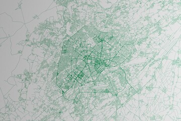 Map of the streets of Tashkent (Uzbekistan) made with green lines on white paper. 3d render, illustration