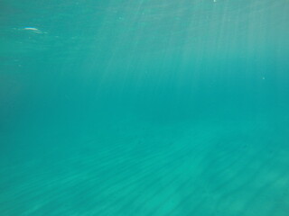 underwater scene with sunlight piercing through the sea surface, illuminating the depths and...