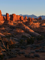 The red rock formations of Arches National Park at sunset, with towering rock spires bathed in golden light. Snow-capped mountains can be seen in the distance, adding to the dramatic landscape.