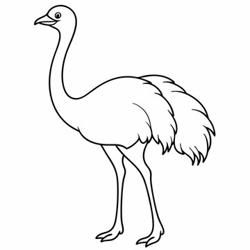 recommend clip art: Ostrich bird line art vector