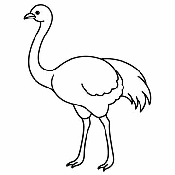 recommend clip art: Ostrich bird line art vector
