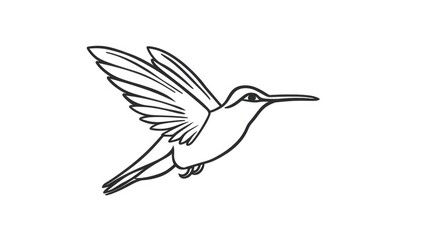 Fototapeta premium Hummingbird Outline Logo Design. Icon Set of Tropical Bird, Logotype Element from Australia and New Zealand