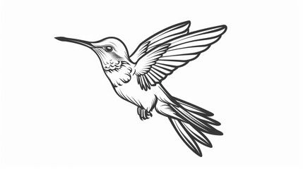 Obraz premium Hummingbird Outline Logo: Exquisite Tropical Bird Icon Design Element Set