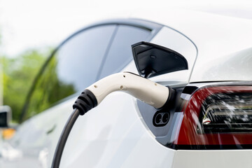 Naklejka premium EV electric vehicle recharging battery from EV charging station in national park or outdoor forest scenic. Natural protection with eco friendly EV car travel in the summer woods. Exalt