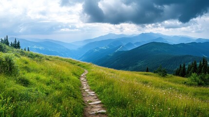 Mountain Path Leading to Scenic Views