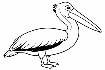 Brown Pelican Vector Illustration - Printable Graphics Design