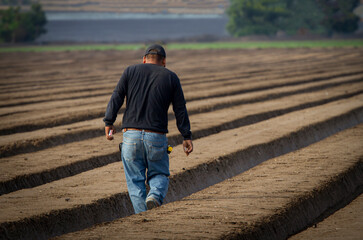 A farm worker wearng a black long sleeve shirt walking through rows of a plowed field