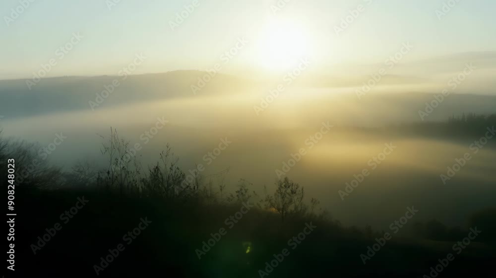 Poster the morning sun struggling to break through the thick fog creating a hazy and ethereal scene in the 
