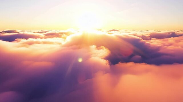 Bathed in the warm glow of a gentle sunrise the dreamy flight floats effortlessly through a sea of rosy clouds.