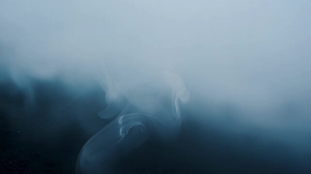 The dense fog seems to be alive slithering and creeping along the ground as if it has a mind of its own.