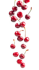 Falling sour cherries isolated on white background, full depth of field, transparent png background