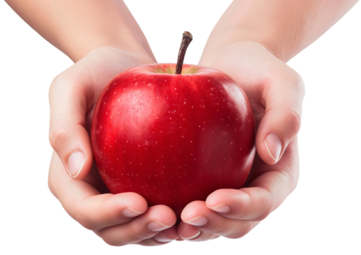 Closeup of hands holding the ripe shiny red apple fruit, isolated on transparent background. Healthy fresh vegetarian vitamin diet, organic juicy nature food, eat, nutrition, sweet