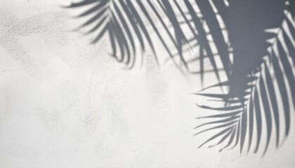 Coconut Leaves Shadow on White Painting on Concrete Wall Background.